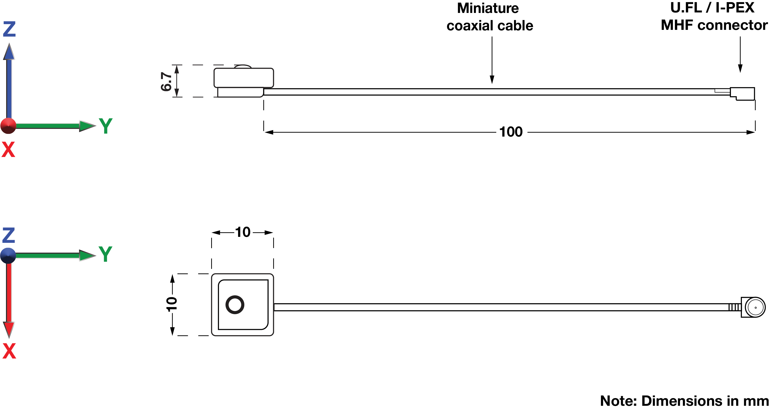 echo-19-dimensions.png